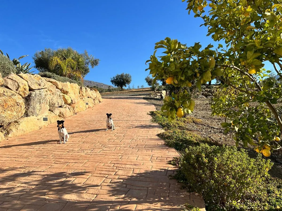 Finca Zayas Whole Estate Periana Holiday home