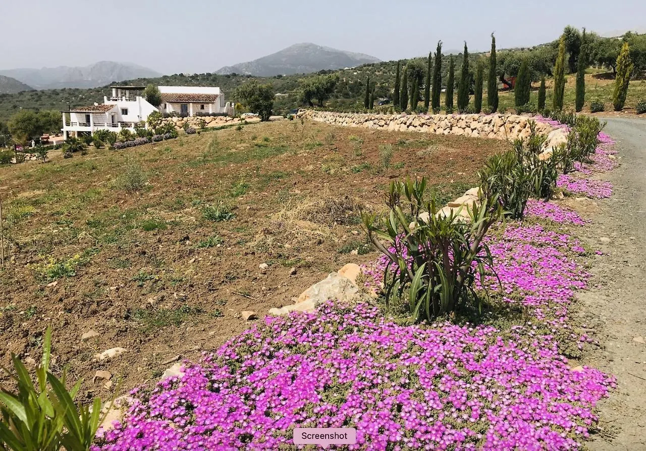 Finca Zayas Whole Estate Periana Spain