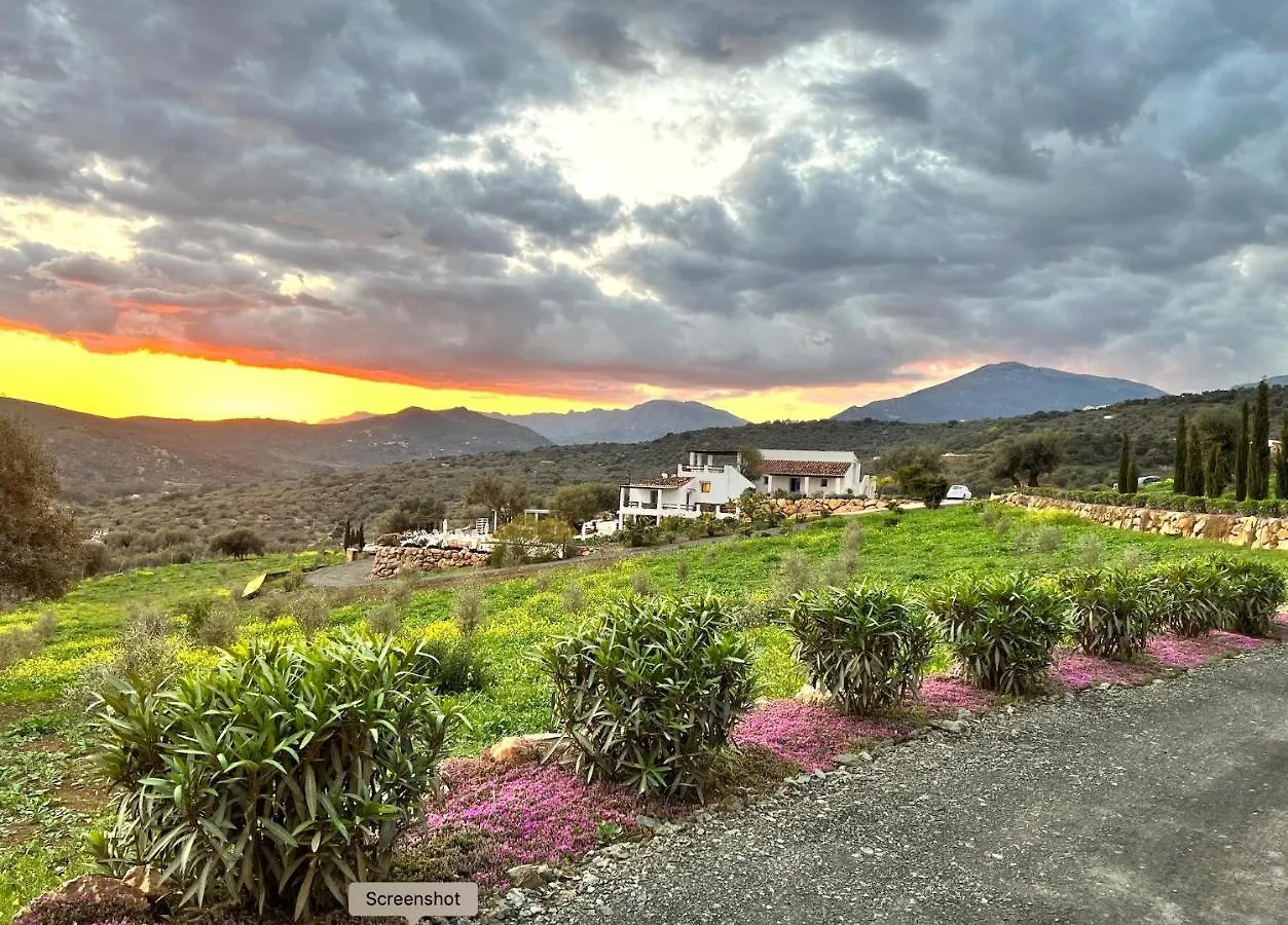Finca Zayas Whole Estate Periana 0*,